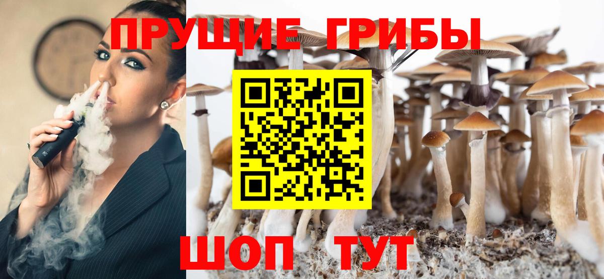 Псилоцибиновые грибы MAGIC MUSHROOMS  купить закладку  Анжеро-Судженск  Галлюциногенные грибы GOLDEN TEACHER  Вход с VPN 